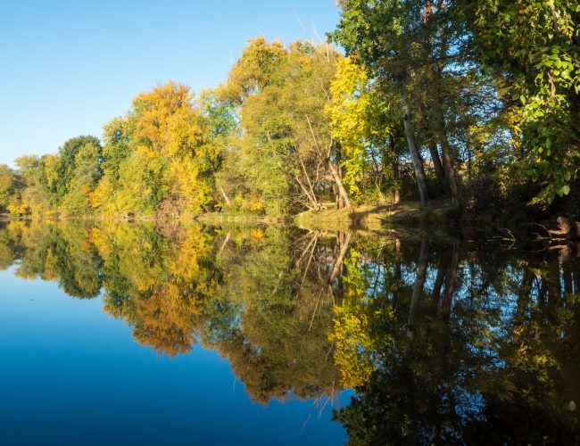 herbst-in-der-donauau-581d0538-05ef-41fc-8da2-c9770e491b21